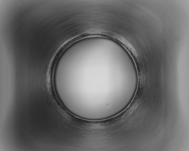 X0000102290976200808081519