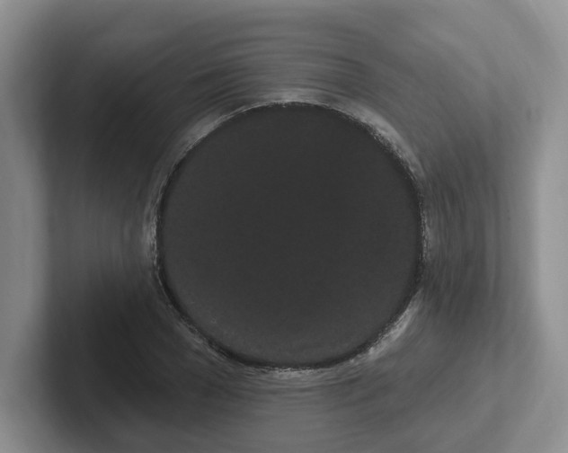 X0000102290977200808081519