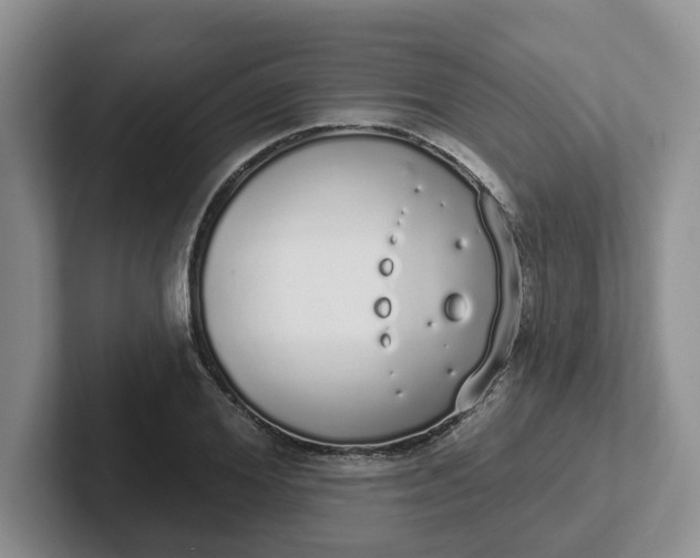 X0000102290980200808081519