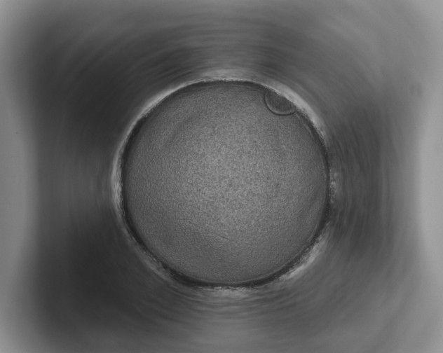 X0000102290981200808081519