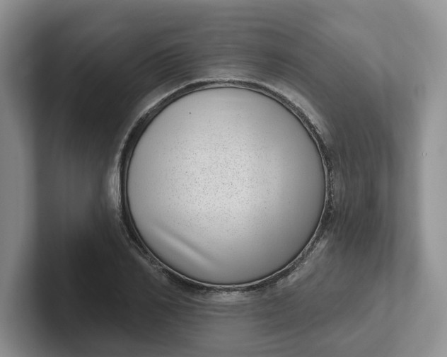 X0000102290982200808081519