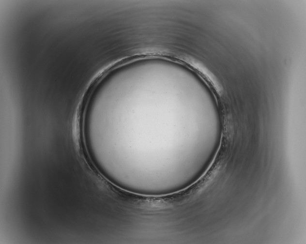 X0000102290983200808081519