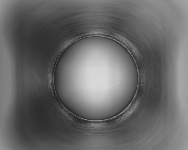 X0000102290985200808081519