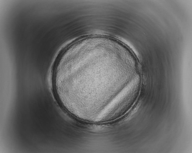 X0000102290987200808081519