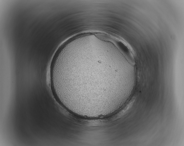 X0000102290988200808081519