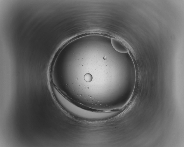 X0000102290989200808081519