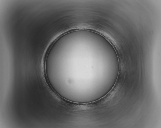 X0000102290990200808081519