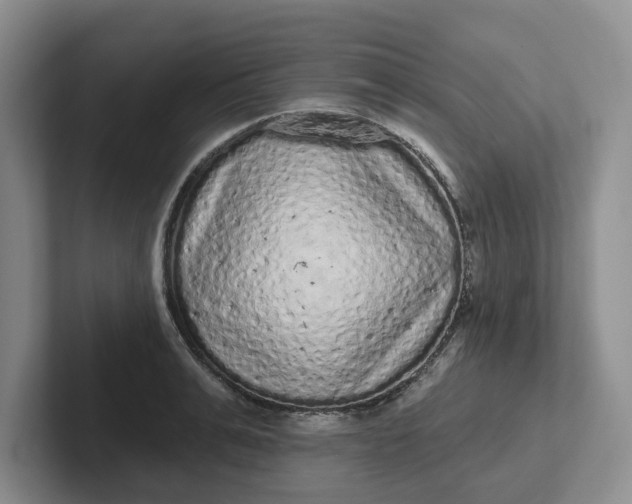 X0000102290991200808081519