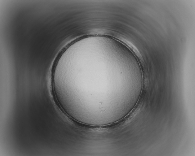 X0000102290992200808081519