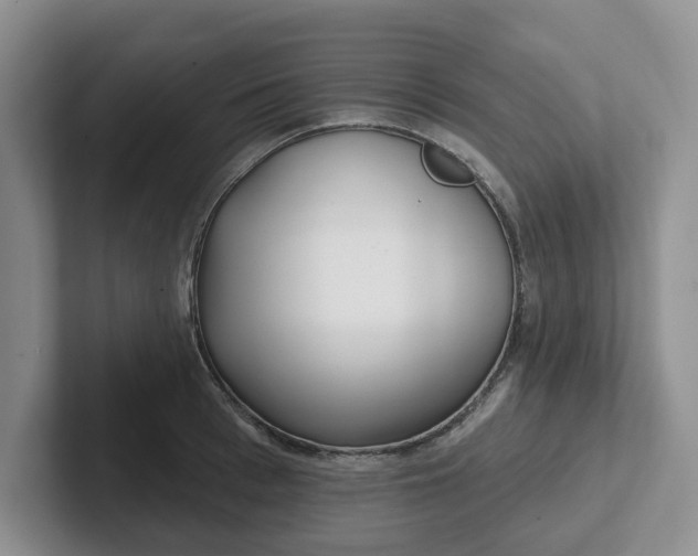 X0000102290993200808081519