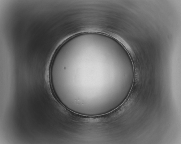 X0000102290996200808081519