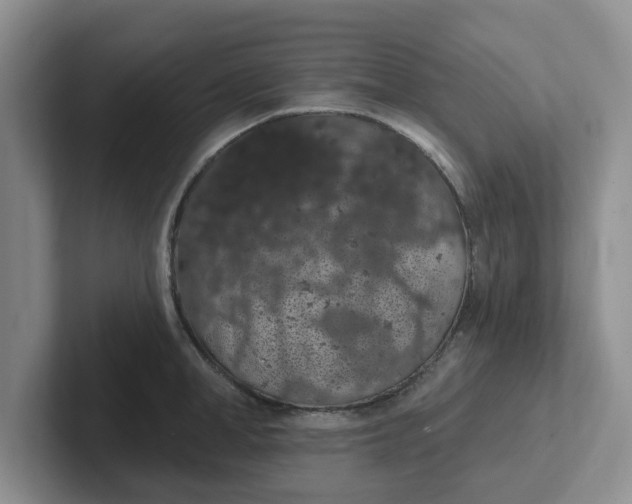 X0000102290998200808081519