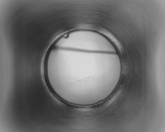 X0000102290999200808081519