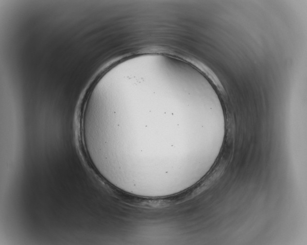 X0000102291000200808081519