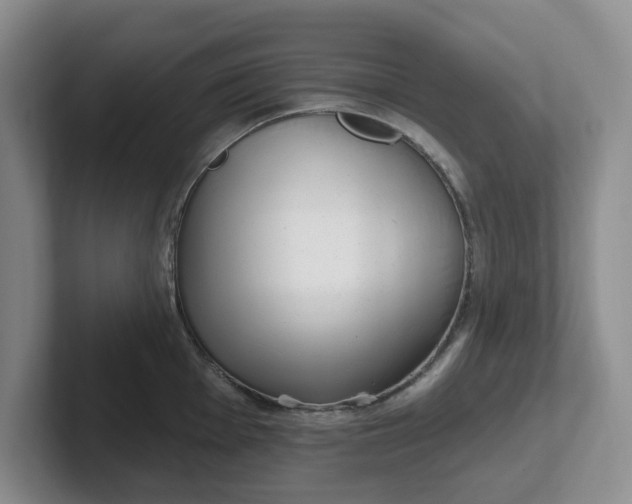 X0000102291001200808081519