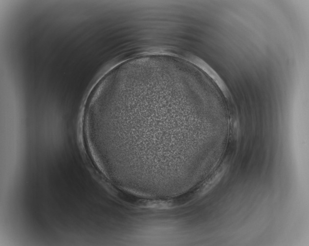 X0000102291002200808081519