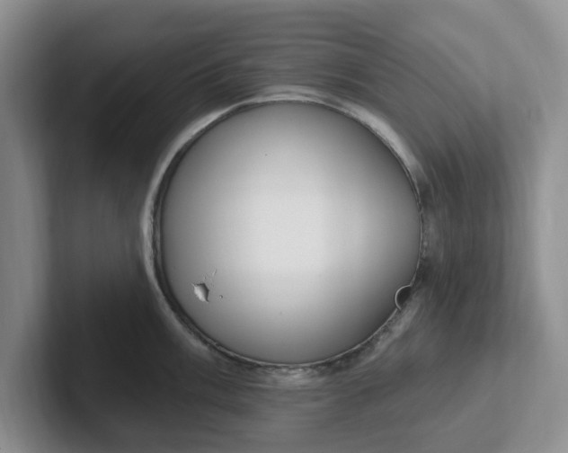 X0000102291003200808081519