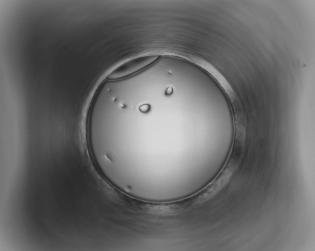 X0000102291004200808081519