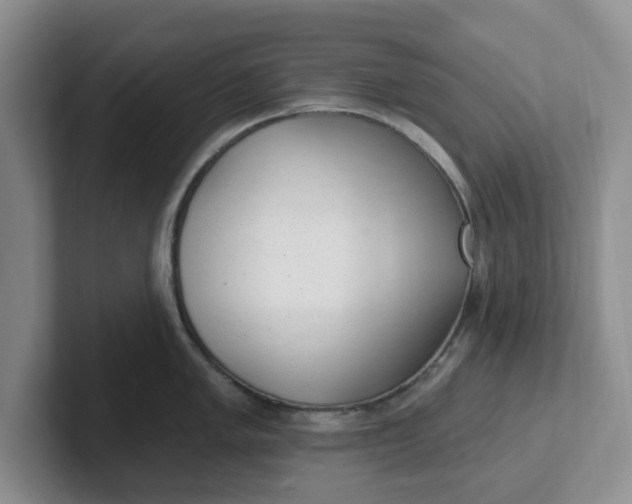 X0000102291005200808081519