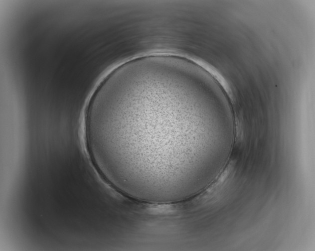 X0000102291006200808081519