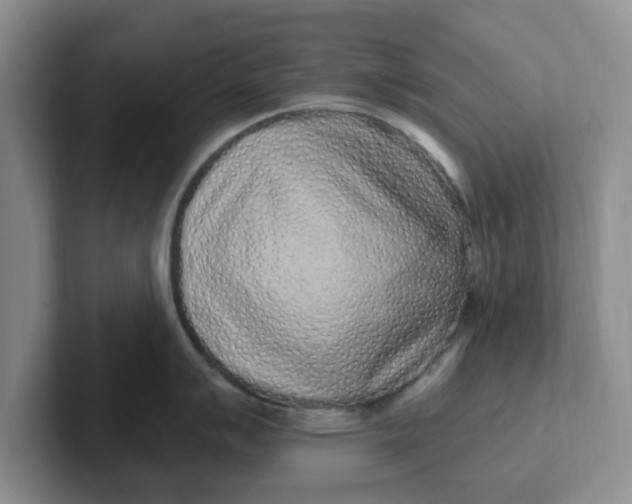 X0000102291007200808081519