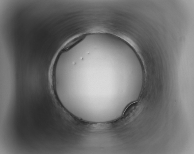 X0000102291008200808081519