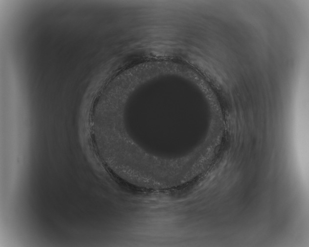 X0000102291009200808081518