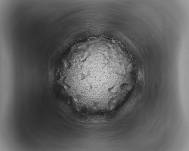 X0000102291011200808081518