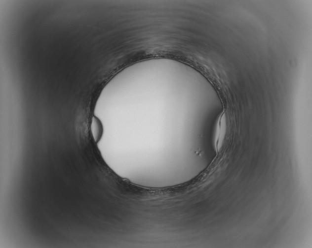 X0000102291012200808081518