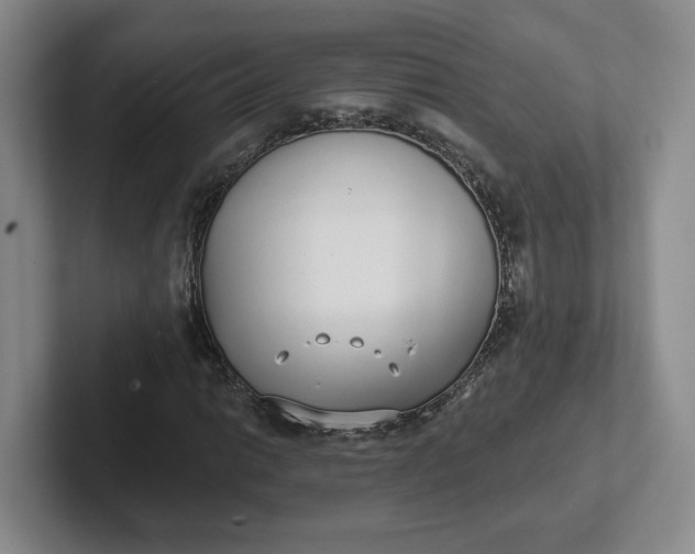 X0000102291014200808081518