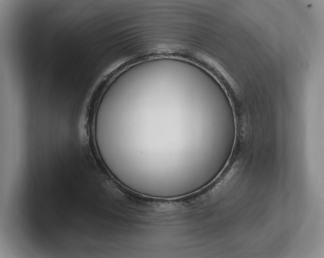 X0000102291018200808081518