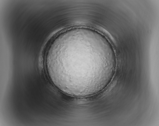 X0000102291019200808081518