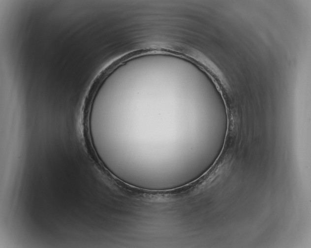 X0000102291020200808081518