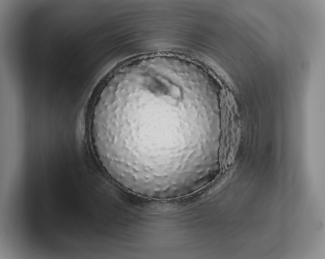 X0000102291023200808081518