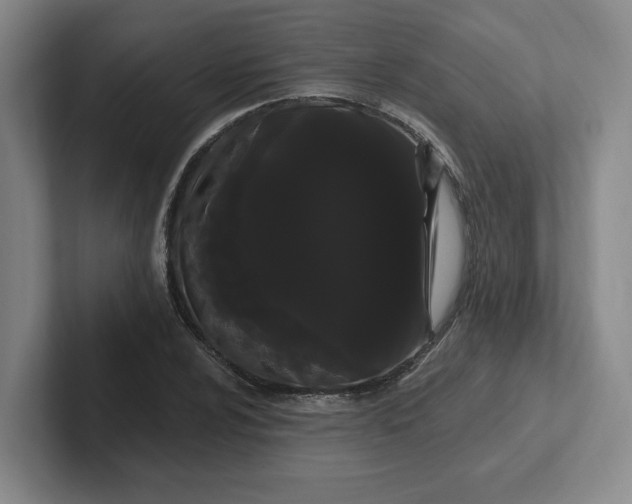 X0000102291024200808081518