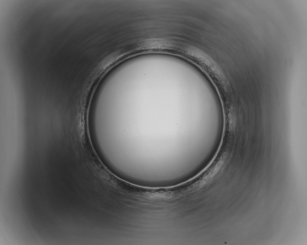 X0000102291025200808081518