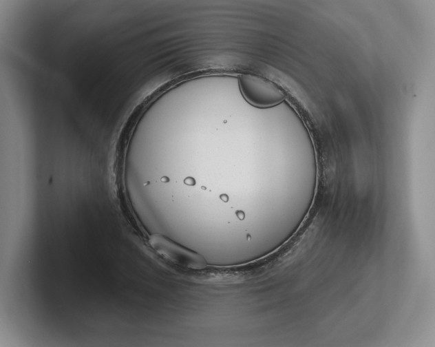 X0000102291026200808081518