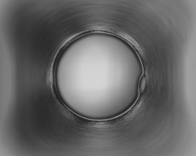 X0000102291028200808081518