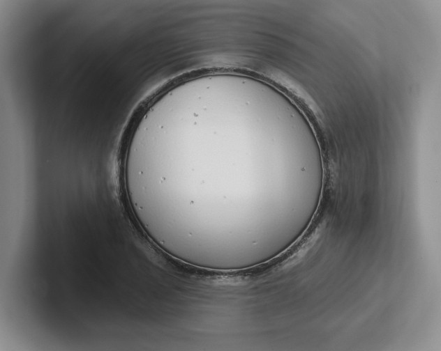 X0000102291029200808081518