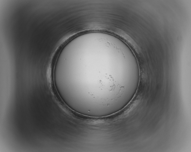 X0000102291030200808081518