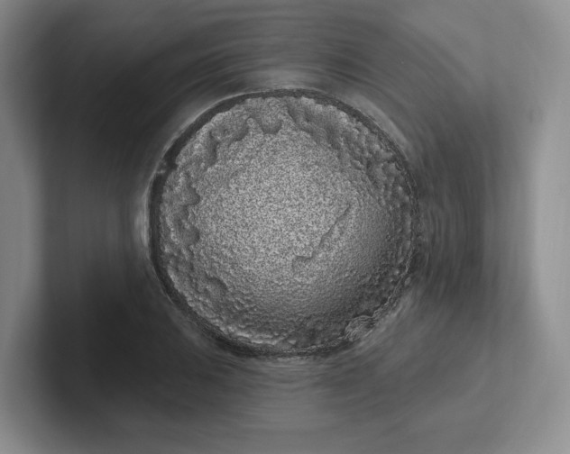 X0000102291031200808081518