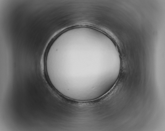 X0000102291032200808081519