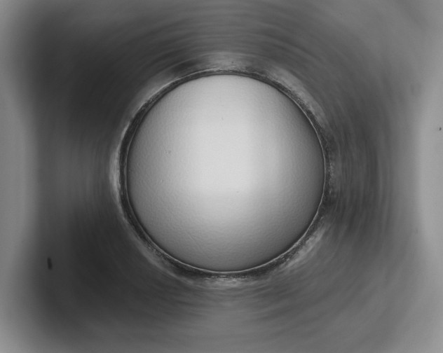 X0000102291034200808081519