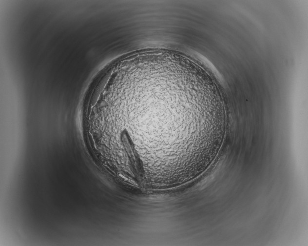 X0000102291035200808081519