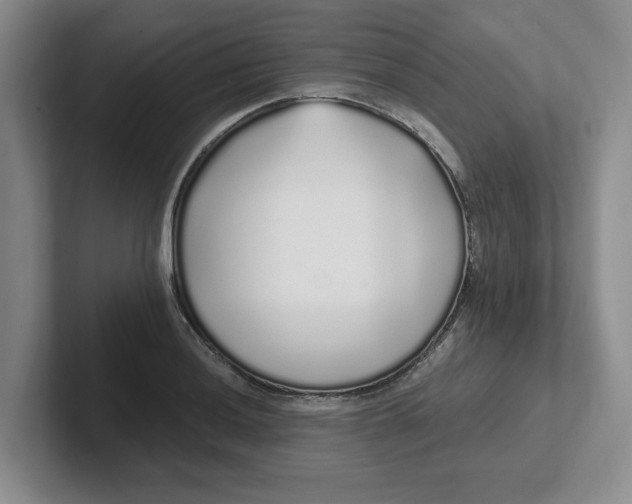 X0000102291036200808081519