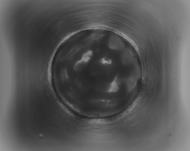 X0000102291037200808081519