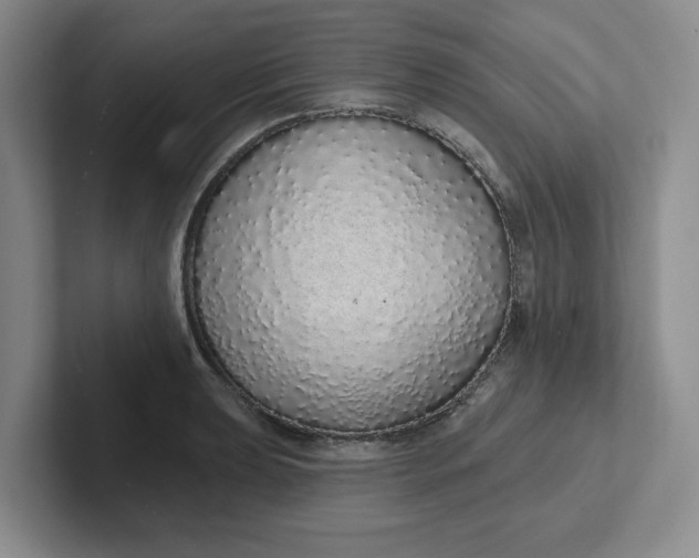 X0000102291039200808081519