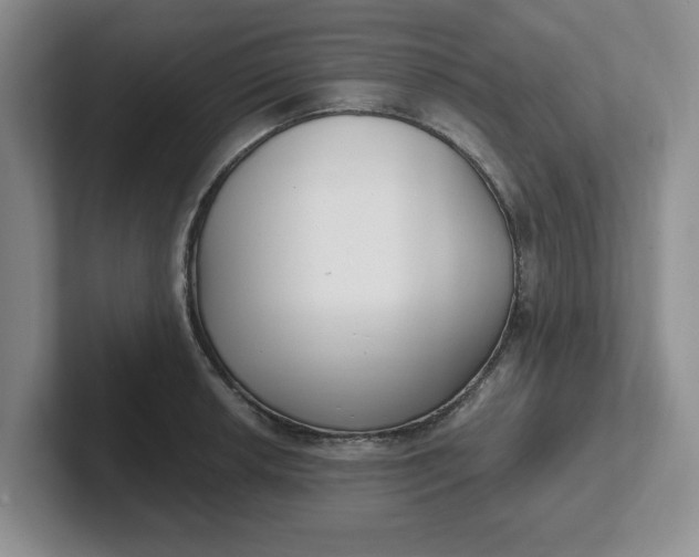 X0000102291042200808081519