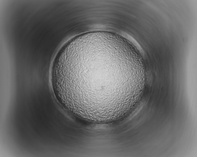 X0000102291043200808081519