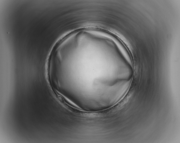 X0000102291045200808081519